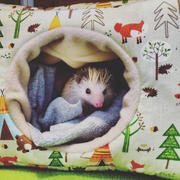 The Hoghouse Camping animals stay open tunnel. Padded fleece tunnel. Padded tunnel Review