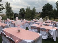 tableclothsfactory.com 5 Pack | Dusty Rose Satin Chair Sashes | 6x106 Review