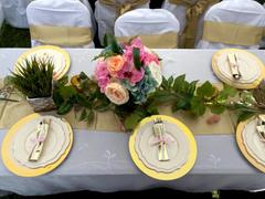 tableclothsfactory.com White Polyester Folding Flat Chair Covers, Reusable or 1x Use Stain Resistant Chair Covers Review