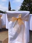 tableclothsfactory.com White Polyester Folding Flat Chair Covers, Reusable or 1x Use Stain Resistant Chair Covers Review