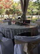 tableclothsfactory.com 5 Pack | Sage Green Polyester Chair Sashes | 6 x 108 Review