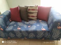 DecorZee Blue Palm Flamingo Pattern Sofa Couch Cover Review