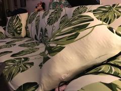 DecorZee Floating Green Palm Leaf Pattern Sofa Couch Cover Review