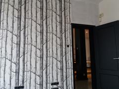DecorZee Black & White Birch Tree Print Wallpaper Review