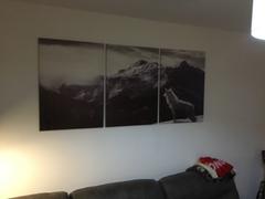 DecorZee 3-Piece Black & White Mountain Wolf Canvas Wall Art Review