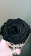 Eternal Roses® Mini Tiffany Eternal Luxury Rose Review