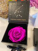 Eternal Roses® Aquarius Astor Box & Necklace Bundle Review