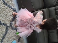 Bling Bling Babies Special Event Baby Girl Pink Lace Dress Review