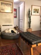Ambient Lounge Chile Cubierta Deluxe para Cama de Perro Mediana (Original) Review
