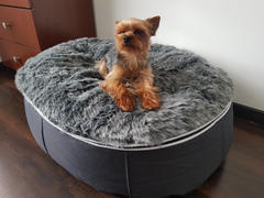 Ambient Lounge Chile Cama Mediana de Lujo para Perro (Wild Animal) Review