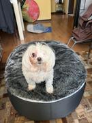 Ambient Lounge Chile Cama Mediana de Lujo para Perro (Wild Animal) Review