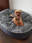 Ambient Lounge Chile Cama Mediana de Lujo para Perro (Wild Animal) Review