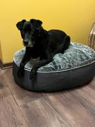 Ambient Lounge Chile Conjunto de Cama Mediana para Perros (Cappuccino) y Premium ThermoQuilt Review