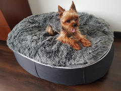 Ambient Lounge Chile Cama Mediana de Lujo para Perro (Wild Animal) Review
