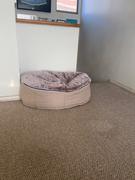 Ambient Lounge Chile Conjunto de Cama Mediana para Perros (Cappuccino) y ThermoCool Mat S Review