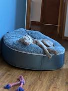 Ambient Lounge Chile Cubierta Deluxe para Cama de Perro Extra Grande (Cappuccino) Review