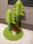 Meowingtons Wild Woodland Cat Scratching Post Review