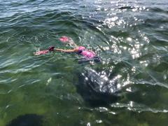 Slipins SlipIns Sun Protective Swimsuit - Plumeria Review