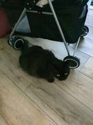 Payday Deals Pet Stroller Dog Cat Pram Foldable Carrier Large Travel 4 Wheels Pushchair Black Review