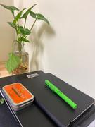 Bunbougu.com.au Lamy Safari Fountain Pen - Green Review