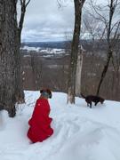 Sexy Beast Dog Collars Ozark Central O Ring Collar Review