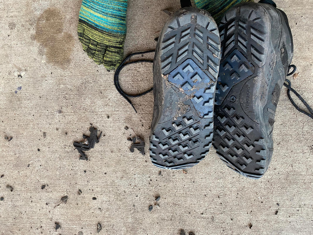 xcelerator daylight running shoes