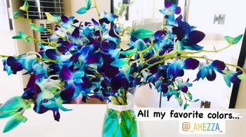 Upscale and Posh Designer's Collection #10 - Orchids Review