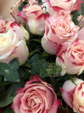 Upscale and Posh BLUSH - Pink Roses and Eucalyptus Review