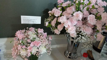 Outerbloom 2 Dozen of Pink Roses in Vase Review
