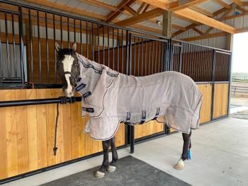 Performance Horse Blankets Rambo Grooming Kit Review
