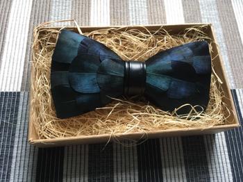 Bow SelecTie Blue Feather Bow Tie Review