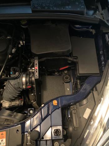FSWERKS FSWERKS Green Filter Cool-Flo Air Intake System - Ford Focus Duratec TiVCT 2.0L 2012-2018 Review