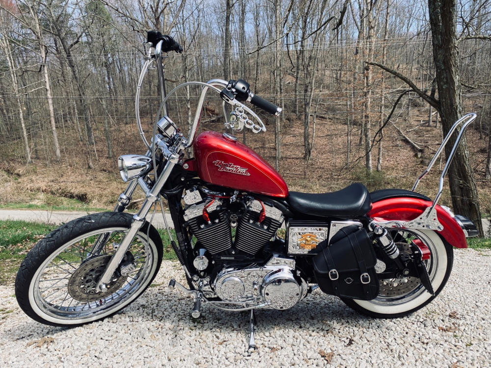 sissy bar sportster 2003