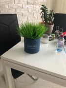 Hansel & Gretel Green Artificial Grass Plant Review