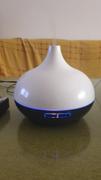 Hansel & Gretel Classic Humidifier and Electric Scent Distributor Review