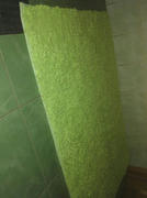 Hansel & Gretel Green Bathroom Area Carpet Review
