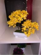 Hansel & Gretel Yellow Artificial Bonsai Plant Review