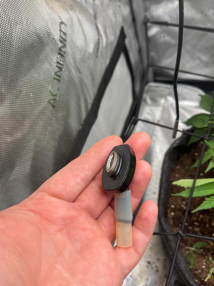 POTV XMAX Starry V4 Vaporizer - Customer Photo From Carly Crone