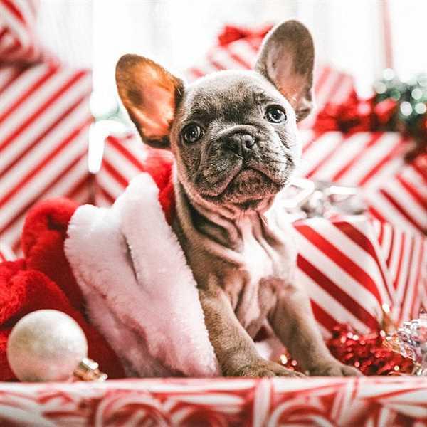 Simone verified customer review of Christmas Eve - Merry Christmas, Christmas Presets, Instagram Presets, Blogger Presets