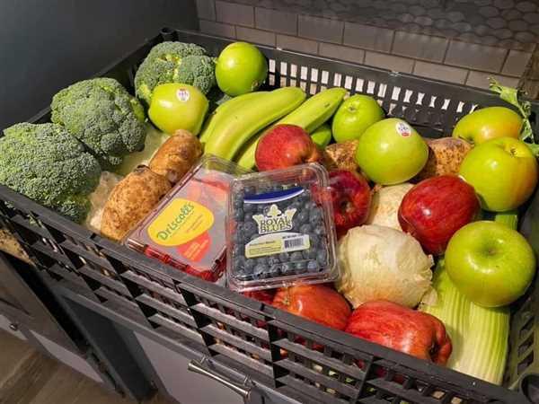 Farm To Neighborhoods Produce Boxes  “Large Mixed Fresh Fruit and Vegetable Box” Review