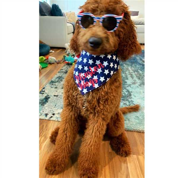 WagSwagCo All American Pupper Bandana Review