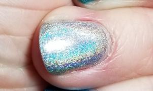 Holo Taco Circuit Breaker Review