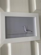 Jin Designs Seagull Cards, Pack of Four Review