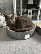 Jin Designs CatLoaf Luxury Cat Scratcher Bed - White Review