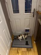 Jin Designs Sitting Cat Doormat Review
