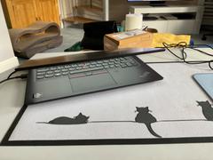 Jin Designs Cat Collection Desk Mat Review