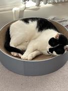 Jin Designs CatLoaf Luxury Cat Scratcher Bed - Mid Grey Review