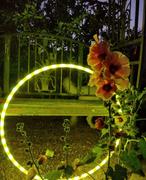 UltraPoi UltraHoop Remote Review