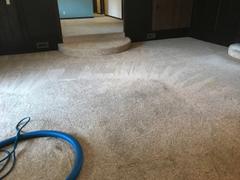 TMF Store: Carpet Cleaning Equipment Advanced Spotting Course Review