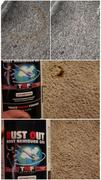 TMF Store: Carpet Cleaning Equipment Rust Out - 1 Quart Review